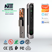 NB Motor Tuya WiFi Reconnaissance faciale Interphone actif Serrure de porte Poignée intelligente Accès sans clé Contrôle APP pour hôtels appartements