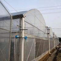 Fournisseur de serres : Kits de serres multi-chapelles en acier galvanisé de 1000 m² avec film PVC et couverture en PE, provenant d'un fabricant du Jiangsu