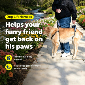 Harnais de levage pour chien avec poignée, pour chiens âgés, handicapés, blessés, grands chiens, aide à la marche en extérieur, harnais de levage pour animaux de compagnie - Product Image 5