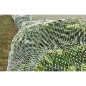 Ad alta densità HDPE UV hdpe Lavorato A Maglia uccello di compensazione heavy duty <span class=keywords><strong>rete</strong></span> di plastica garden anti uccello <span class=keywords><strong>rete</strong></span> di - Product Image 4