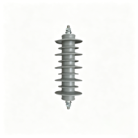 Parafoudre en oxyde de zinc métallique 33 kV, type polymère composite