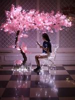 Dekorasi Pernikahan Pohon Bunga Sakura Merah Warna-warni Pohon Bunga Sakura Buatan untuk Dijual