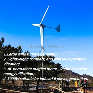 Turbina Eolica ad Asse Verticale da 5000W con Pale in Fibra di Vetro Rinforzata Compatibile con Pannelli Solari per Soluzioni di Energia Ibrida - Product Image 3