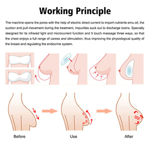 Appareil tout-en-un pour l'augmentation mammaire avec pompe à vide et technologie de vibration à écran tactile de 8 pouces, machine de soin des seins - Product Image 2