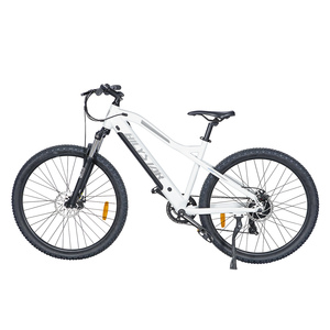 2021 a buon mercato vintage bicicletta elettrica batteria e-bike/alta velocità Vela electrique/OEM buona 700C 3000w 36V bici elettrica retrò - Product Image 3