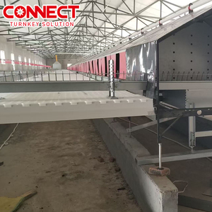 Automatic <strong>Poultry</strong> Broiler Breeding Equipment Chicken Farm Breeding Machine Floor Raising System with Feeder Pan Conveyor Line - Product Image 3