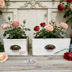 Fioriera <span class=keywords><strong>da</strong></span> Parete in Legno Massello Stile Retrò Francese di Alta Qualità, Decorazione per Patio, Vaso <span class=keywords><strong>da</strong></span> Fiori <span class=keywords><strong>da</strong></span> Tavolo in Legno, Contenitore <span class=keywords><strong>da</strong></span> Giardino - Product Image 2