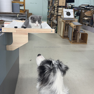 YOUME 2025 Fabrikgroßhandel Winter Katzenfensterbett Haustierhaus Indoor Katzenwandmöbel aus Holz Plüsch Vollton Katzenbett - Product Image 5