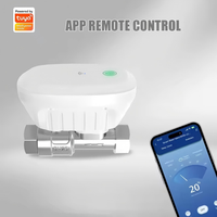 Vanne d'eau intelligente en gros Zigbee Tuya, vanne électrique intelligente Tuya avec contrôle de température