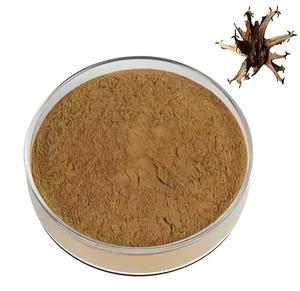 Factory Supply High Quality <strong>Extract</strong> <strong>Devil's</strong> <strong>Claw</strong> <strong>Extract</strong> Harpagoside <strong>5</strong>% <strong>Devil's</strong> <strong>Claw</strong> <strong>Extract</strong> <strong>Devil's</strong> <strong>Claw</strong> Powder - Product Image 3