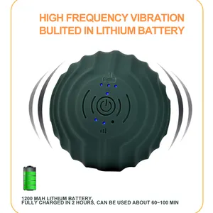 신제품 11cm 피트니스 요가 마사지 롤러 전기 진동 마사지 볼