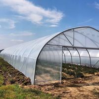 Serre Agricole Monotunnel Personnalisée en Film PO/PE pour l'Agriculture Commerciale