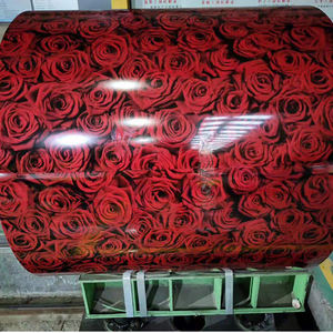 Bobina de Acero Galvanizado con Recubrimiento de Color PPGI Z30-Z40, Servicios de Corte y Soldadura, Láminas Metálicas para Techos Estándar ASTM para Construcción - Product Image 2