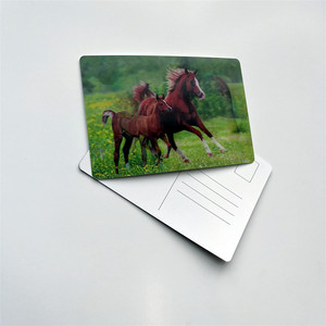 BSCI Kiểm Toán Nhà Máy biển Rùa 3D bưu thiếp tùy chỉnh dạng thấu kính lưu niệm bưu thiếp in ấn cho quà tặng - Product Image 5