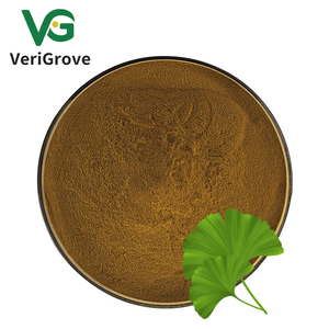 100% tinh khiết tự nhiên <span class=keywords><strong>Ginkgo</strong></span> <span class=keywords><strong>Biloba</strong></span> chiết xuất bột màu xanh lá cây <span class=keywords><strong>Ginkgo</strong></span> <span class=keywords><strong>Biloba</strong></span> lá chiết xuất - Product Image 1