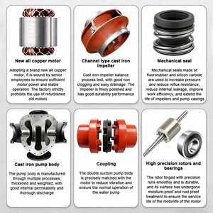 Pompe centrifuge horizontale à double aspiration CZME 200 kW, pompe à eau à haut débit pour l'irrigation et l'approvisionnement en eau de rivière - Product Image 5