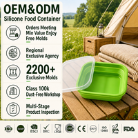 Boîte de rangement alimentaire pliable résistante à la chaleur, boîte à bento en silicone, boîte à lunch pliable pour le camping
