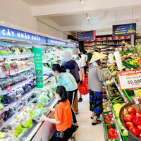 Vitrine réfrigérée commerciale sans givre pour produits laitiers et boissons, idéale pour supermarchés et épiceries