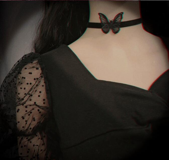 Le papillon de velours
