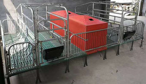 Jaula de Parto Galvanizada para Cerdos, Equipo de Cría con Alimentación y Bebedero Automáticos - Product Image 2