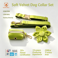 Ensemble collier et laisse pour chien en velours doux, directement de l'usine, avec accessoires décoratifs pour le cou, idéal pour le quotidien, la promenade et la course.