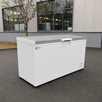 Congélateur horizontal commercial 400L-700L avec porte en mousse pour la restauration, stockage à froid, R290 écologique, certifié CE
