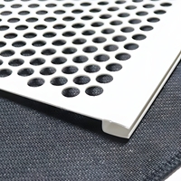 2025 nouveau Design filtre à feuilles PVC gouttière protecteur gouttière garde pluie eau Drainage plastique Pvc gouttière couverture