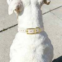 Collier pour chien en cuir souple et large, personnalisé avec logo, réglable, imperméable, fin et confortable, fabriqué sur mesure