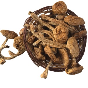 Hua Zi Gu The Split wholiota microspora เห็ด nameko เชื้อราสำหรับอาหาร - Product Image 4