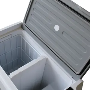 車の冷凍庫のための安い50Lミニ冷蔵庫ミニカー冷蔵庫クーラーボックス