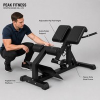 Chaise romaine la plus vendue pour salle de sport commerciale, banc d'extension dorsale, machine d'entraînement corporel, banc romain