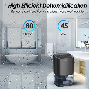 2022 vente chaude Deshumedecedor 1000ML Home Air Mini petit déshumidificateur portable