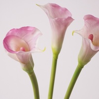 YOPIN-7888 Kunstvolles Design Calla-Lilie Einzelner Stiel Weicher Latex Realistische Haptik für Oster-, Hochzeits- und Abschlussdekoration