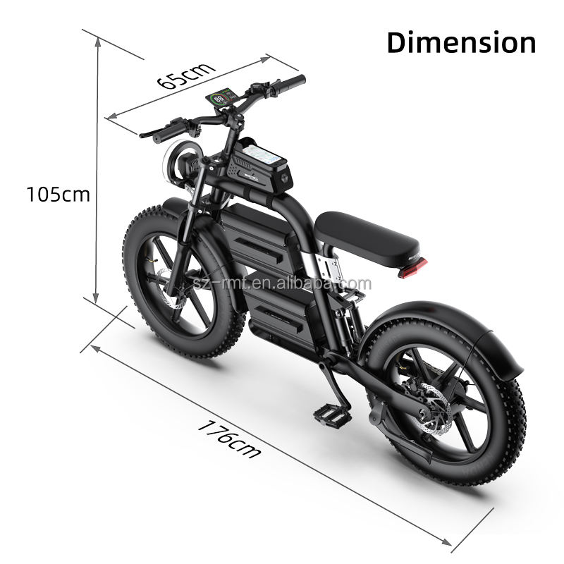 60V 40AH Electric Bike 150KM off Road Adult E-Mountain Bike