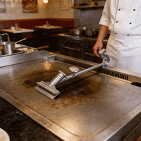 Grattoir à gril professionnel robuste pour nettoyer les taches d'huile, grattoir à gril en aluminium moulé