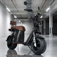 Bicicleta de Turismo de Alta Gama con Llantas Anchas, Manubrio Elevado, Suspensión Completa, Motor Impermeable de 1000W, Batería de Litio de 20Ah, 200kg