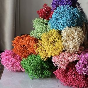 Bouquet di Gypsophila Fiori Conservati di Gypsophila Bianchi Fiori Secchi per Matrimoni o Decorazioni Domestiche - Product Image 4