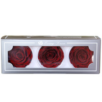 Têtes de roses bordeaux stabilisées en gros pour mur floral de mariage, bouquet de mariée, centre de table, boîte cadeau, fournitures pour fleuristes, décoration de fête