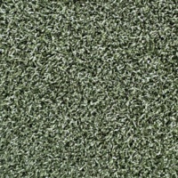 Césped artificial Putting Green de alta calidad LW 10mm para Cancha de cricket de golf