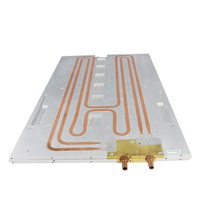 Plaque de refroidissement liquide en aluminium de haute qualité refroidisseur d'eau technologie d'énergie thermique Solution processeur ventilateurs d'eau froide refroidissement