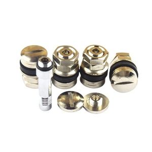 Kit de valve dissimulée en cuivre pour pneu tubeless, raccord américain, pour modernisation et remplacement - Product Image 4