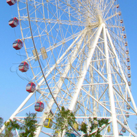 Grande roue de 30m, 50m, 65m, fabrication chinoise, attractions touristiques, manèges de parc d'attractions, à vendre