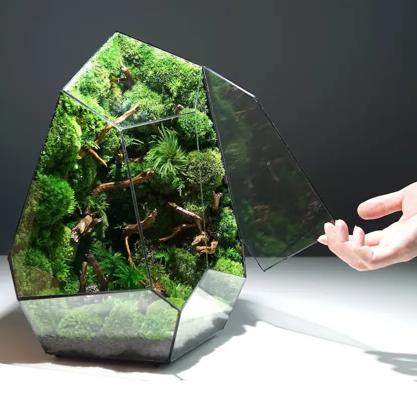 terrarium decor botanical sculpture collection Preserved Moss terrarium plants