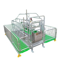 Meilleures ventes : Équipement d'élevage porcin galvanisé à chaud – Cages de gestation pour truies