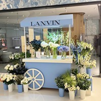 Gerobak Jajanan Cantik untuk Promosi di Mal, Dilengkapi Penyimpanan Besi Luar Ruangan, Sistem Dorong-Tarik, Garansi 1 Tahun