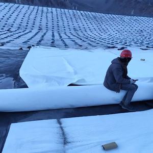 Tissu géotextile de renfort blanc <span class=keywords><strong>pour</strong></span> le traitement de Protection de pente de rivière d'<span class=keywords><strong>allée</strong></span> de <span class=keywords><strong>gravier</strong></span> - Product Image 2