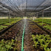 Tuyau d'irrigation de précision en micro-tissu PE perforé au laser pour l'irrigation des cultures à haute valeur ajoutée à domicile et en serre
