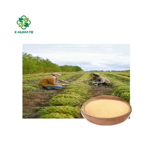 X-humate Amino Acid 80% Plant source in agriculture plant fertilizer 3% Max Soil Conditioner Improvement