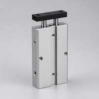 Cilindro Neumático Guiado de Doble Eje y Doble Varilla TN TDA, Origen Zhejiang, China, 1 Año de Garantía para Equipos de Automatización Industrial