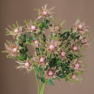 Fleur artificielle Ruilisi en soie rose, cinq branches, style céleri sauvage, pour décoration de mariage, accessoires de photographie et décoration intérieure - Product Image 2